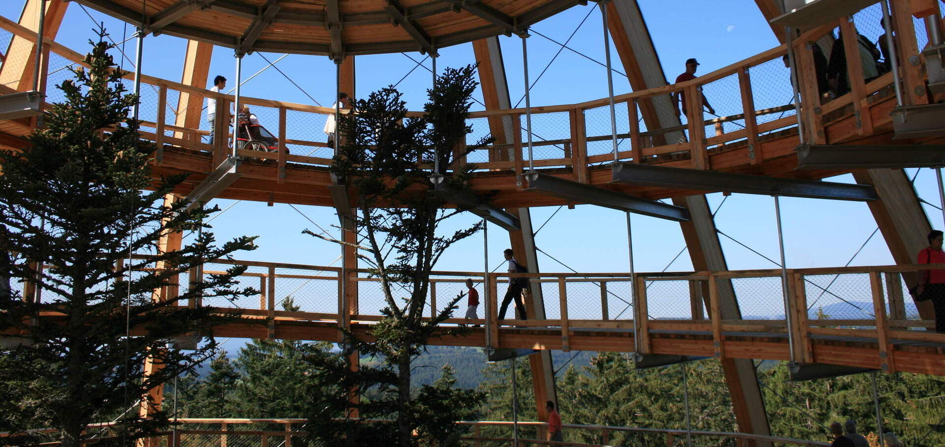 Innenansicht des spiralförmigen Aussichtsturms am Baumwipfelpfad im Nationalpark Bayerischer Wald mit Besuchern und Bäumen im Zentrum.